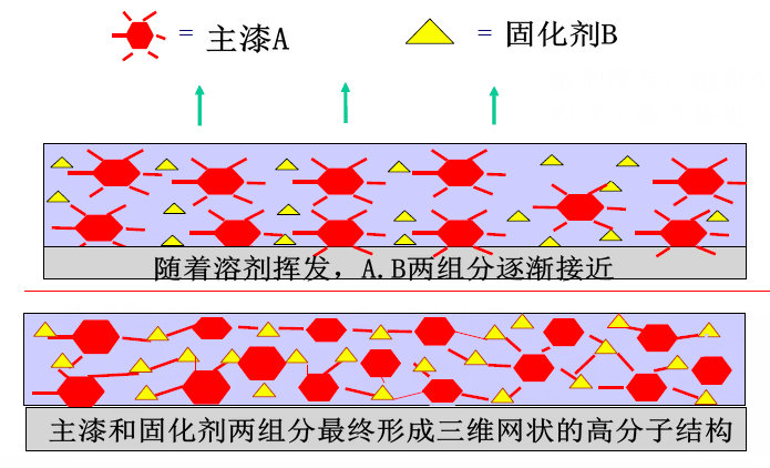 交联固化.jpg